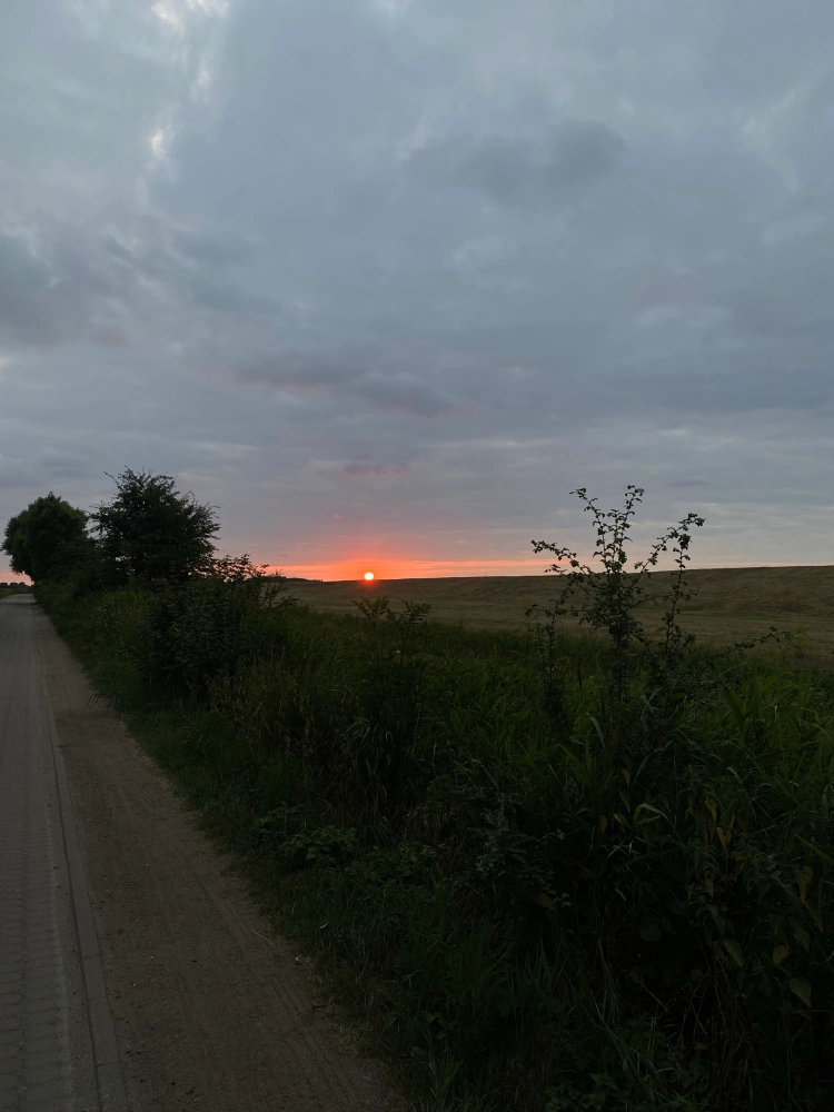 „Dein Navi irrt&nbsp;sich“