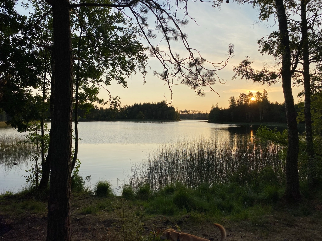 Välkommen Till Sveaskog