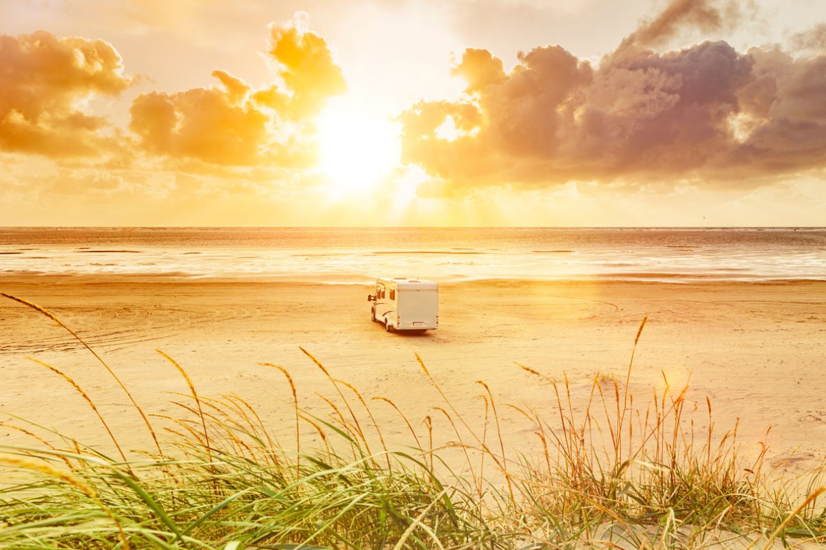 „Björni allein zu&nbsp;Haus“